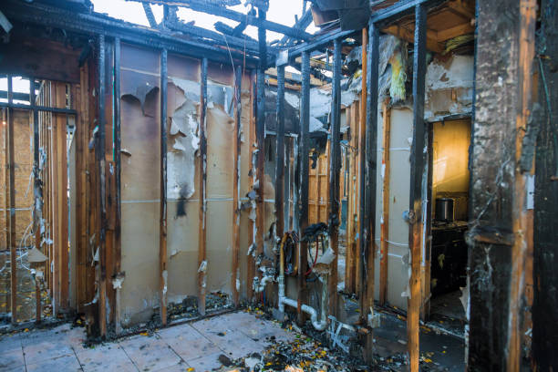 Professional Fire Damage Removal technician working in Woodinville, WA