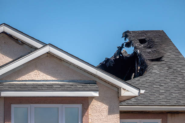 Top rated local Fire Damage Removal specialists in Woodinville, WA